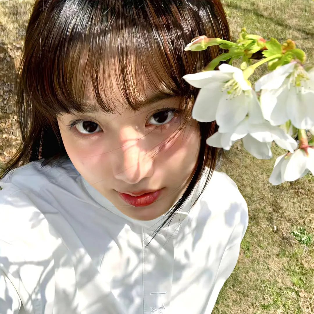 狼之谜
